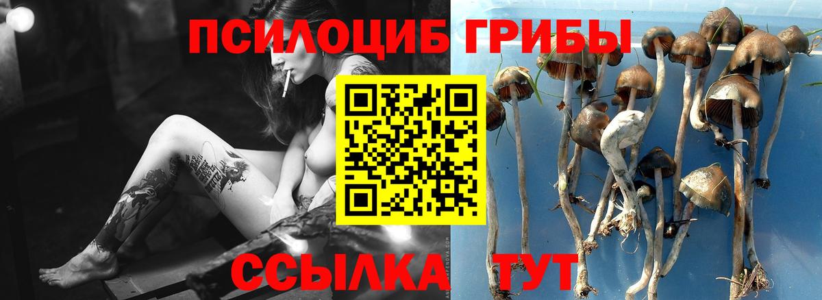 Галлюциногенные грибы Psilocybine cubensis  Псилоцибиновые грибы Magic Shrooms  Ярцево  Вход с VPN 