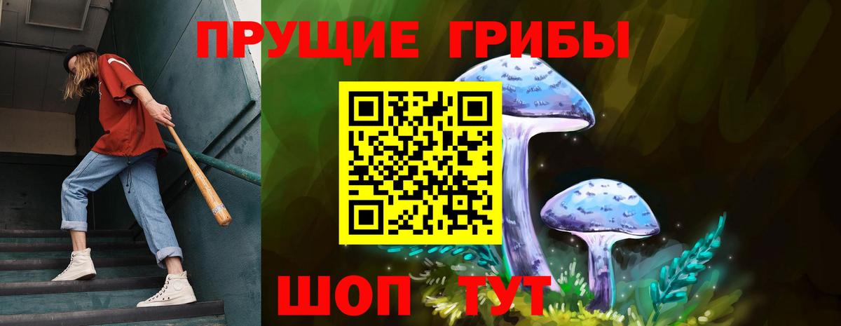 Псилоцибиновые грибы GOLDEN TEACHER Ярцево